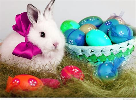 easter bunny pictures